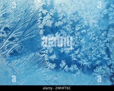 Ice flowers on a window pane Stock Photo