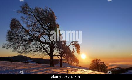 Sunset at Schauinsland in black forest with weather beech, snow-covered field and fog in the valley Stock Photo