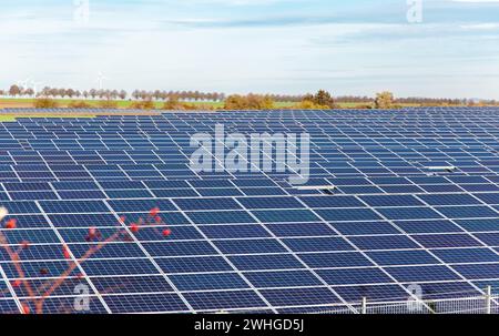 Solar panels on a farm. Solar power station in landscape scenery Stock Photo