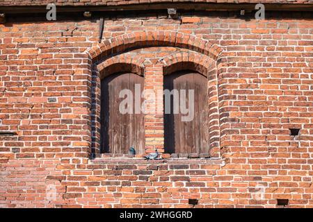 Planked double windows with arches (and two doves) in the red brick wall of the historic church of Rehna, gothic brick architect Stock Photo