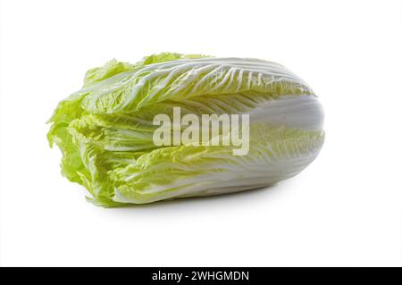 Raw Chinese or napa cabbage isolated on a white background, healthy leaf vegetable, copy space Stock Photo