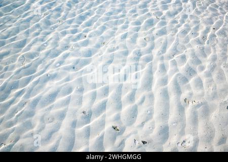 White sand texture in clear sea water Stock Photo