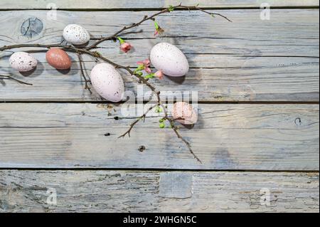 Natural colored Easter eggs and a branch with few flowers on a rustic gray wooden background, copy space, high angel view from a Stock Photo