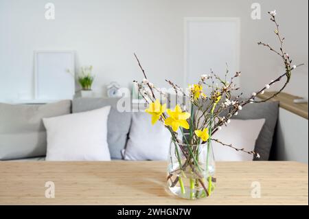 Spring bouquet with daffodils and flowering branches in a glass vase on a table in front of a sofa bench, seasonal home decor, c Stock Photo