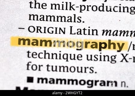 mammography Stock Photo