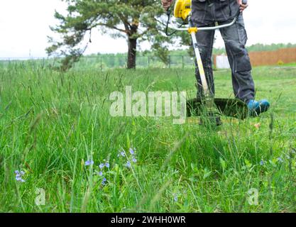 A male gardener mows the green grass of the lawn in the backyard with a gasoline mower. Trimmer for the care of a garden plot Stock Photo