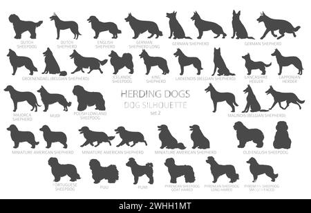 Dog breeds silhouettes simple style clipart. Herding dogs, sheepdog, shepherds collection.  Vector illustration Stock Vector