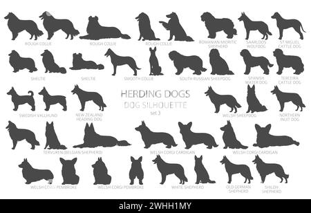 Dog breeds silhouettes simple style clipart. Herding dogs, sheepdog, shepherds collection.  Vector illustration Stock Vector