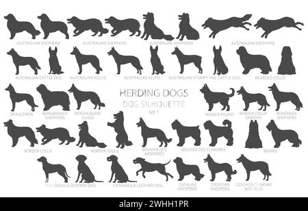Dog breeds silhouettes simple style clipart. Herding dogs, sheepdog, shepherds collection.  Vector illustration Stock Vector