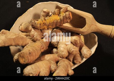 Ginger Roots on a dark background. Stock Photo