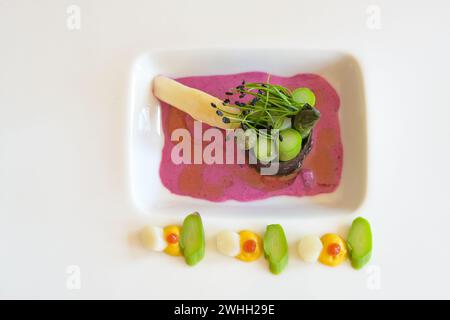 Vegetarian gourmet dish made of asparagus wrapped in nori seaweed, beetroot dressing and leek sprouts served on a white plate, h Stock Photo