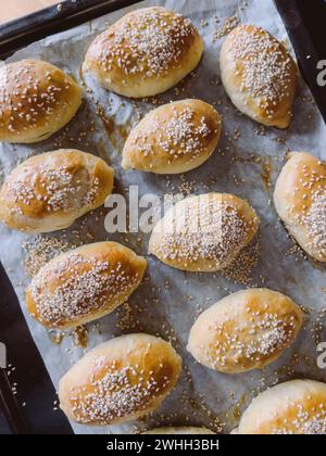 Freshly baked sesame buns lie on a baking sheet Stock Photo