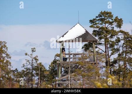 A bird watch tower above tree branches with a couple of human silhouettes in it against a blue background Stock Photo
