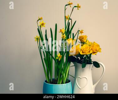 Tete a Tete Daffodil flowers in a blue bowl with yellow Roses in a white jug with a embossed heart decoration on the side Stock Photo