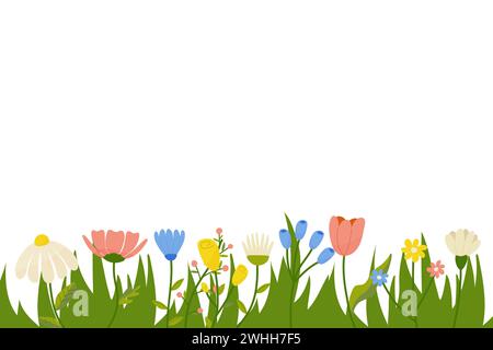 Horizontal botanical background with a set of spring summer flowers. Floral flat vector illustration isolated on  background Stock Vector