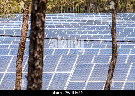 Parque de energÃa solar fotovoltaica Stock Photo