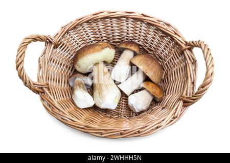 Five ceps found and put in a small basket. White background Stock Photo