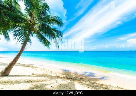 A beautiful beach on a tropical Island Stock Photo
