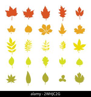 Set of colorful autumn leaves. Leaf collection isolated on white background. Vector illustration Stock Vector