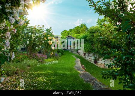 Beautiful landscaping in backyard in summer. Beautiful private home garden in full bloom. Stock Photo