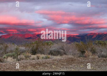 Winterstorm in Hualapai mountains, Mohave County Arizona Stock Photo