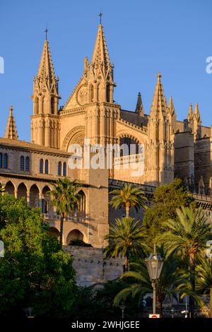 Almudaina Palace and cathedral Stock Photo