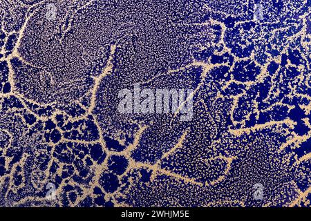 Acrylic Fluid Art. Abstract waves of gold grains pattern on dark blue background. Abstract background or texture Stock Photo