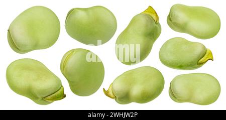 Edamame beans, green soybeans isolated on white background Stock Photo