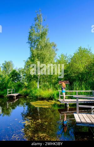 Moor adventure trail, nature conservation centre, Pfrunger-Burgweiler Ried nature reserve, Wilhelmsdorf, Linzgau, Baden-Wuerttemberg, Germany Stock Photo