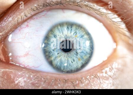 Description: Male Blue Colored Eye With Long Lashes Close Up. Structural Anatomy. Human Iris Macro Detail. Stock Photo