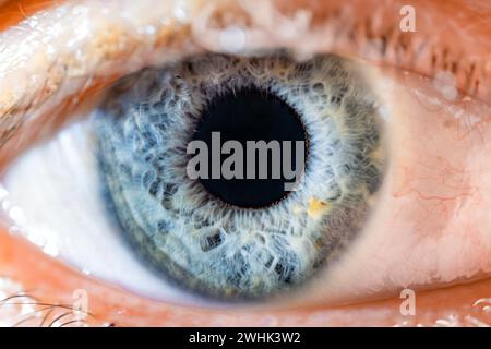 Description: Male Blue Colored Eye With Long Lashes Close Up. Structural Anatomy. Human Iris Wide Open. Macro Detail. Stock Photo