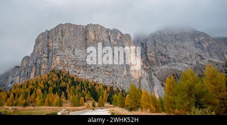 Larche Trees Glowing On The Edge Of The Rocky Mountain In Autumn 