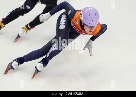 Dresden, Germany. 10th Feb, 2024. DRESDEN, GERMANY - FEBRUARY 10: Michelle Velzeboer of The Netherlands during the ISU World Cup Short Track Speed Skating 5 Dresden at JOYNEXT Arena on February 10, 2024 in Dresden, Germany. (Photo by Andre Weening/Orange Pictures) Credit: Orange Pics BV/Alamy Live News Stock Photo