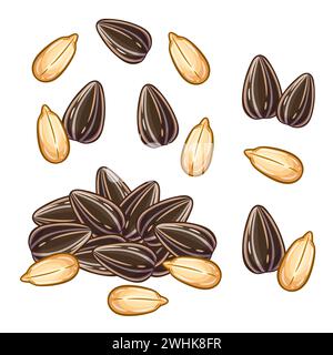Roasted sunflower seeds snack food, heap sun flower plant kernel in shell or peeled icon set. Pile fresh grain. Vegetable oil eating ingredient vector Stock Vector
