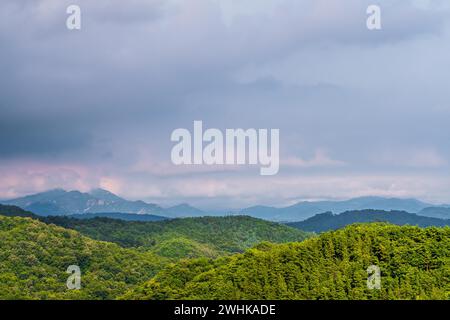 Landscape of forested mountain region with lush green forest in foreground and rolling clouds over mountains in the distance in the background Stock Photo