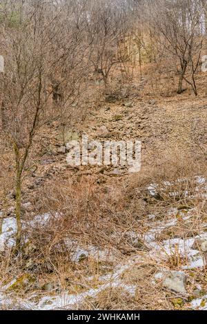 Path made of granite stones and rocks through branches of small trees leading to a large granite wall in a snow covered forest Stock Photo