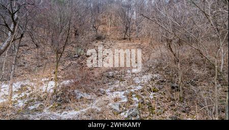 Path made of granite stones and rocks through branches of small trees leading to a large granite wall in a snow covered forest Stock Photo