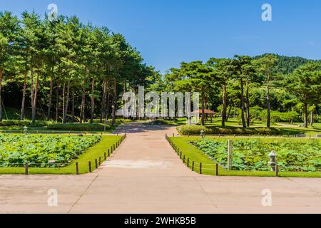 Sidewalk between two lily ponds leading to treed park at Neungsa Baekje Temple with family in distance in South Korea Stock Photo