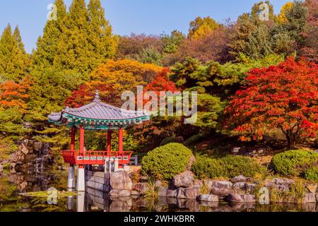 Beautiful oriental gazebo with terracotta tile roof at edge of man made pond with small waterfall in background in South Korea Stock Photo