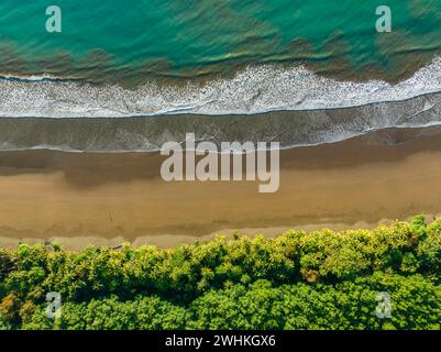 Top-down, aerial view, waves, beach and rainforest, Marino Ballena National Park, Osa National Park, dream beach and sea of the South Pacific Stock Photo