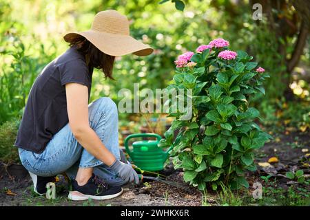 Female gardener planting flowers in the garden, cares about flowers in the backyard Stock Photo