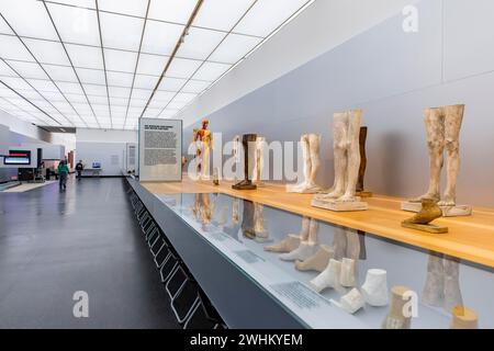 Founded in 1912, the Deutsches Hygiene-Museum is a museum in Dresden. It sees itself as a public forum for science, culture and society Stock Photo
