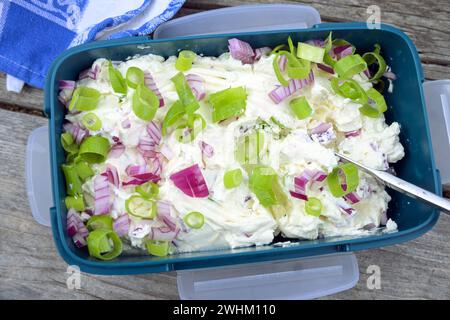 Cream cheese dip with red onions and green spring onions in a blue plastic bowl for a picnic party, high angle view from above Stock Photo