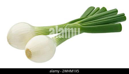 Green onion isolated on white background with clipping path Stock Photo