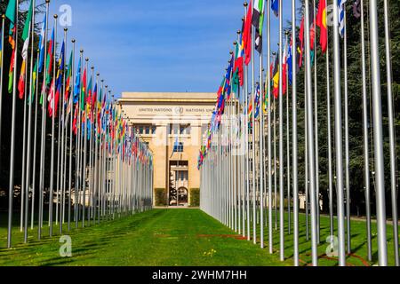 Rows of the United Nations member states flags in a front of Palace of United Nations in Geneva, Switzerland Stock Photo