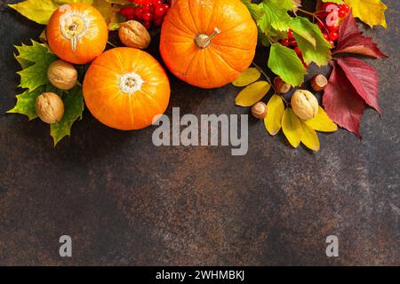 Seasonal background. Autumn composition with autumn maple leaves, pumpkin, nuts and berries on a slate background. Top view flat Stock Photo