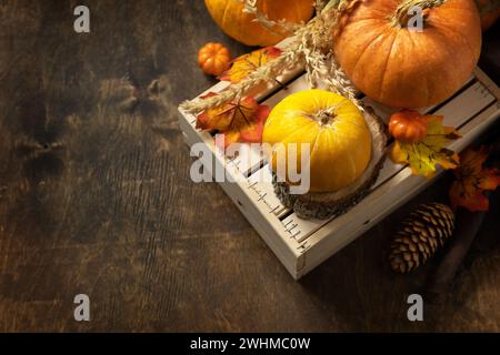 Festive autumn seasonal decorations with pumpkins and leaves on a rustic wooden background. Concept of Halloween or Thanksgiving Stock Photo