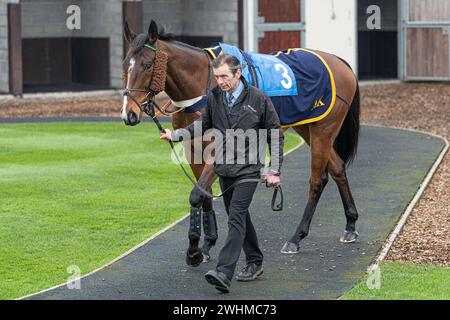 Second race at Wincanton March 2nd 2022 run over fences Stock Photo