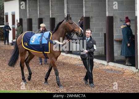 Second race at Wincanton March 2nd 2022 run over fences Stock Photo