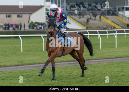 Third race at Wincanton March 2nd 2022 - Novices' Hurdle Stock Photo